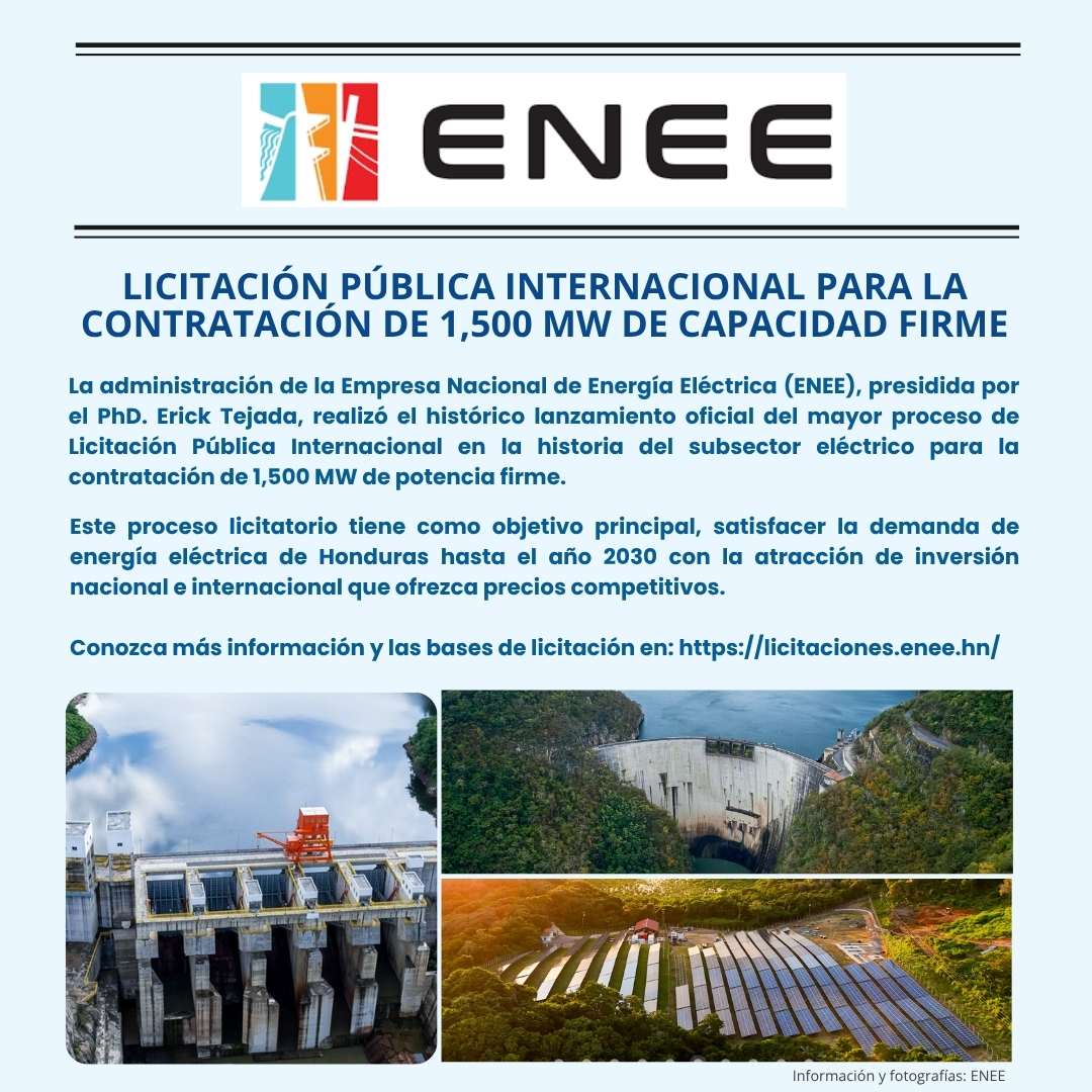 Arte Licitación Pública ENEE